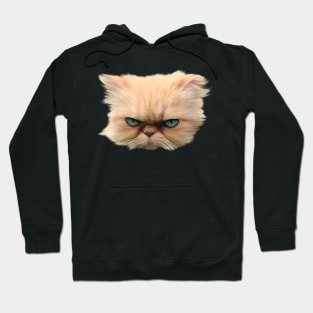 Angry Persian Cat Hoodie